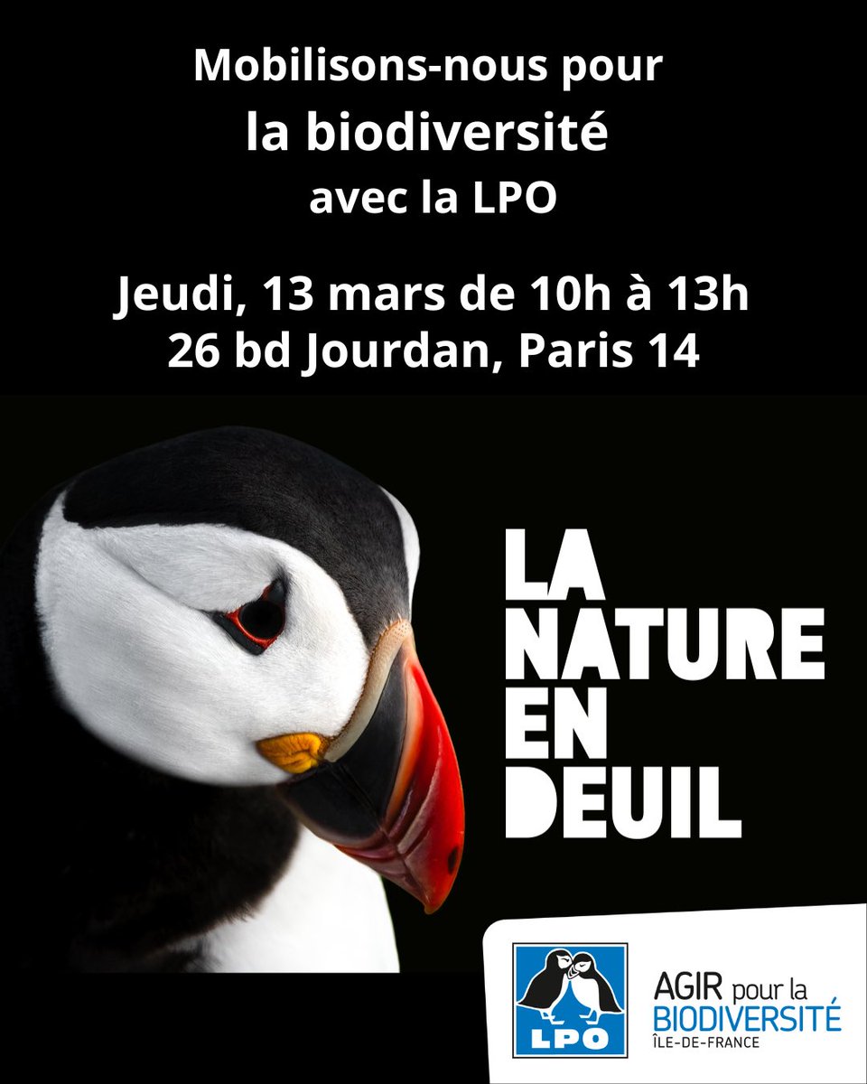 📢 Mobilisation pour la biodiversité : rejoignez-nous le 13 mars ! 🌿⚫

lpo.fr/la-lpo-en-acti…