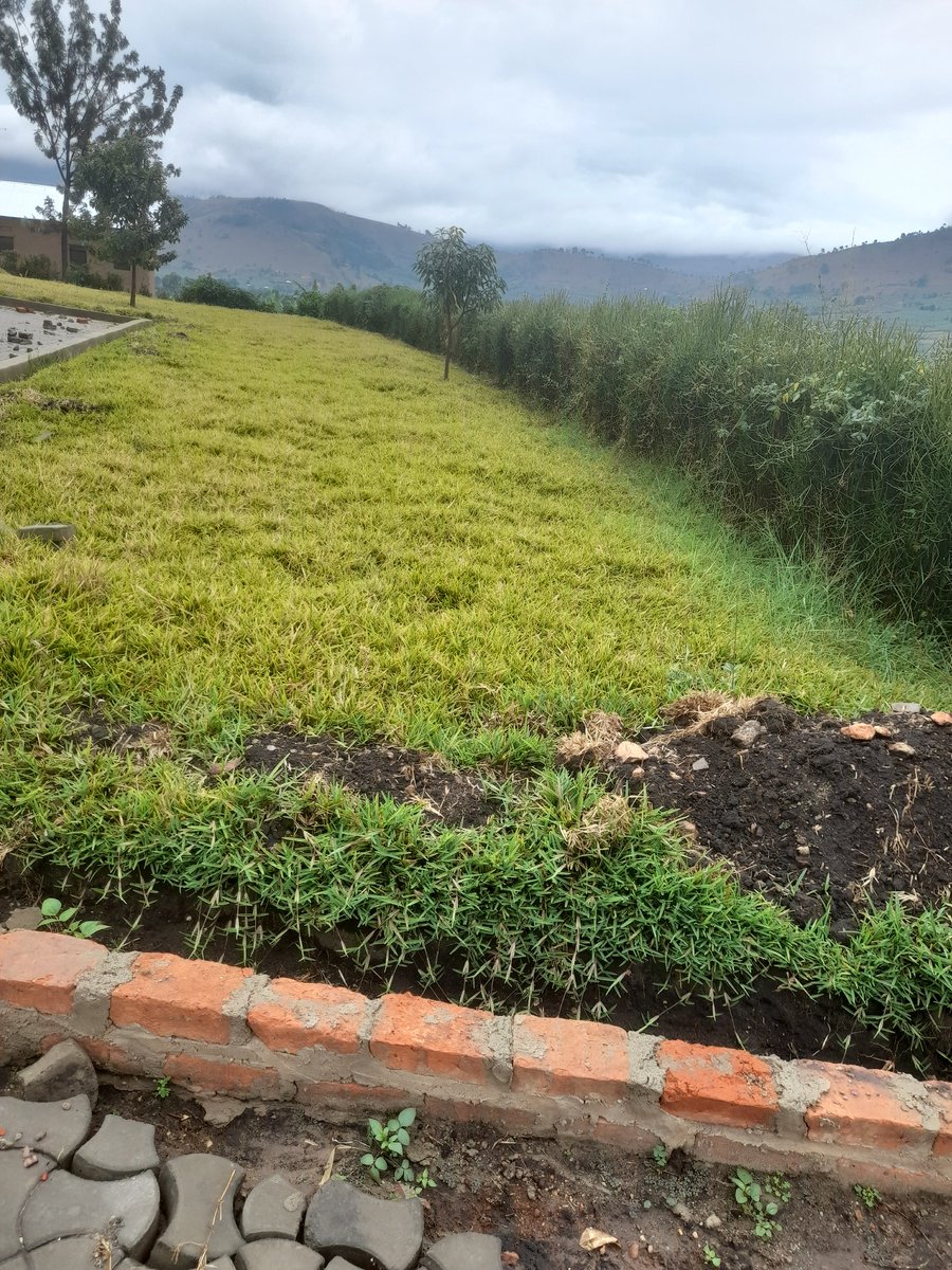 Always remember that east or west, home is best.