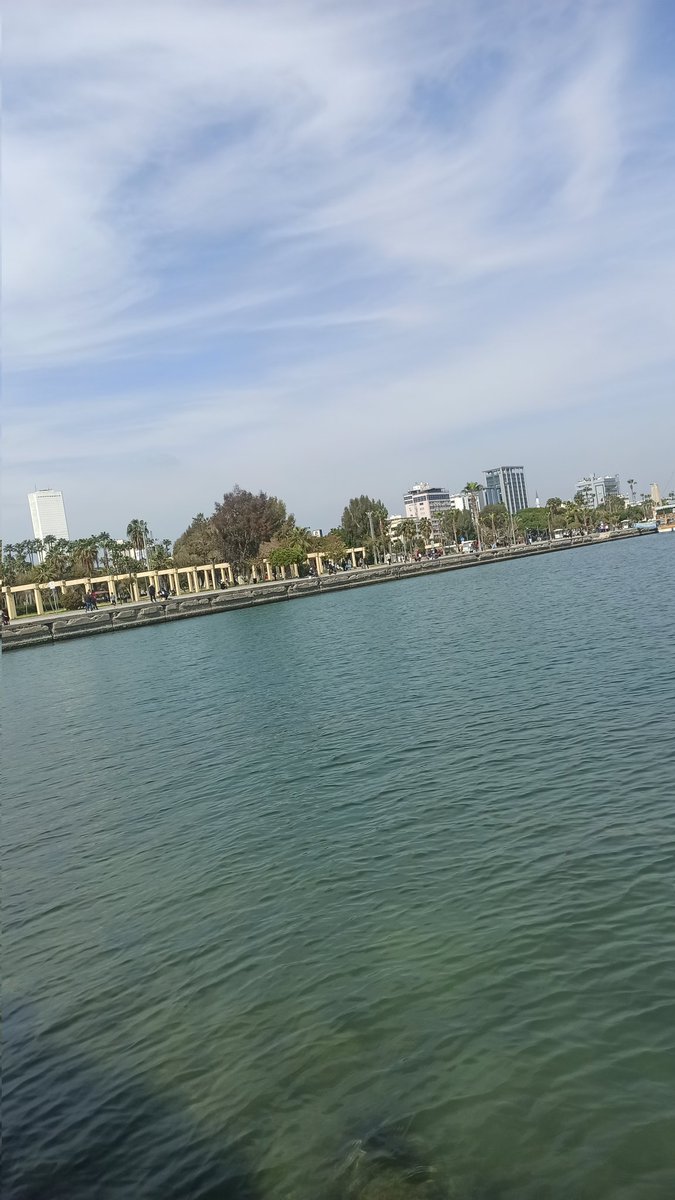 Mersin sen gerçekten teksin