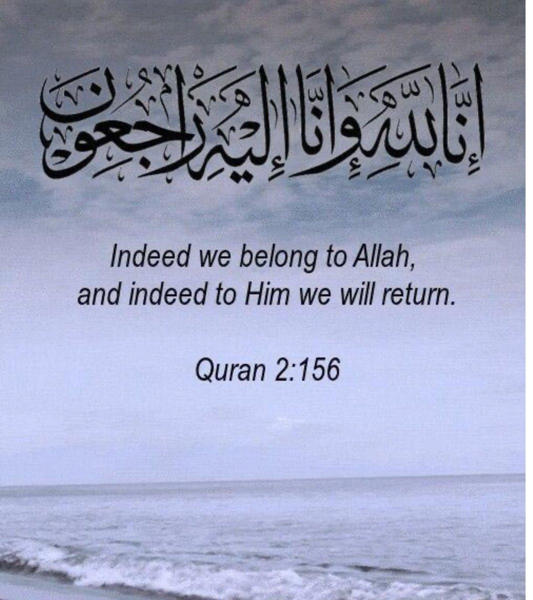 Orhan Ergun tweet media