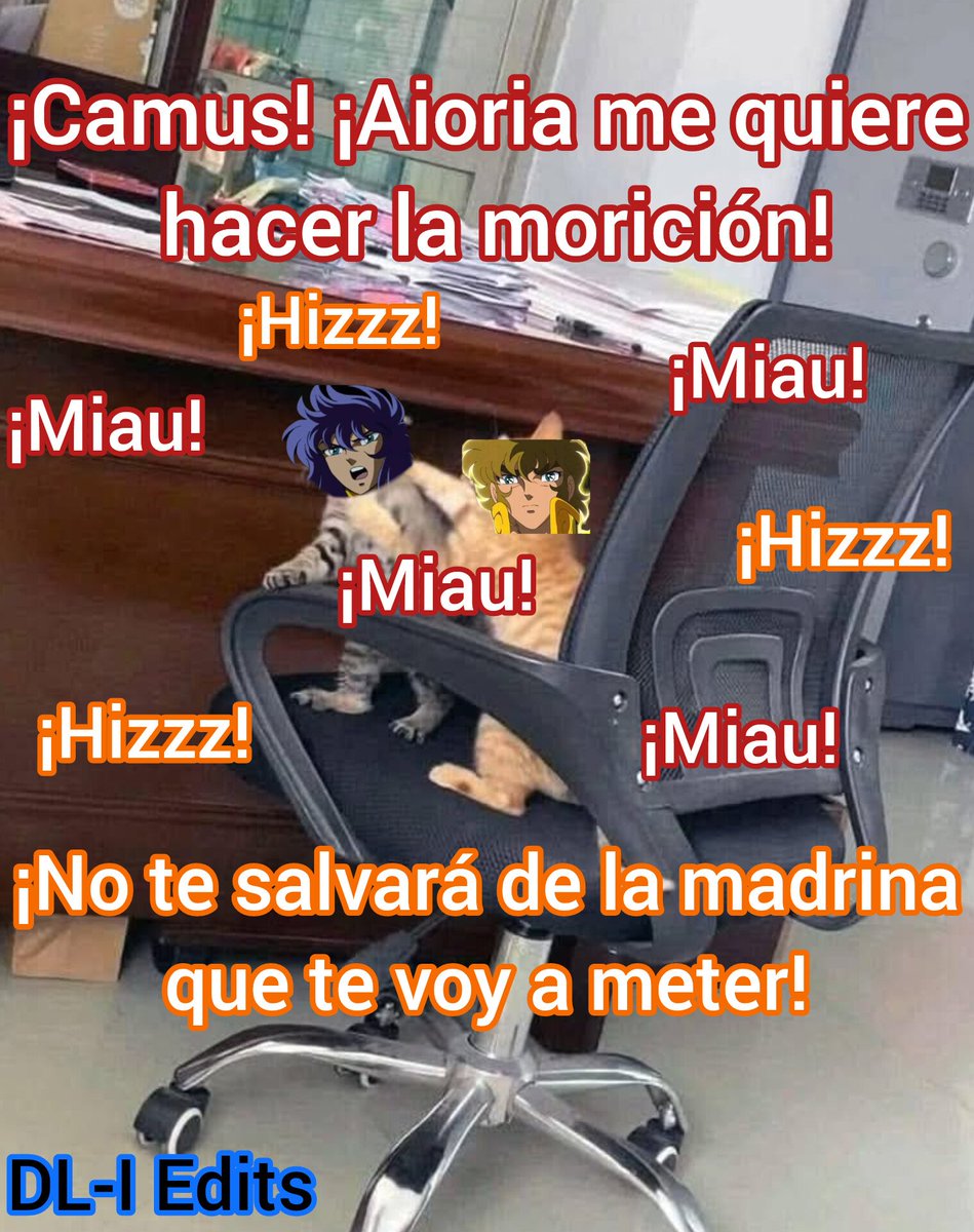 Estoy escribiendo un fanfic donde Milo y Aioria son gatos, y este es uno de los escenarios tentativos.