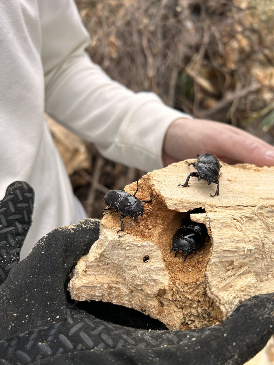 女の子の井戸端会議🚺
いつも遊んで頂きありがとうございます🙇‍♂️