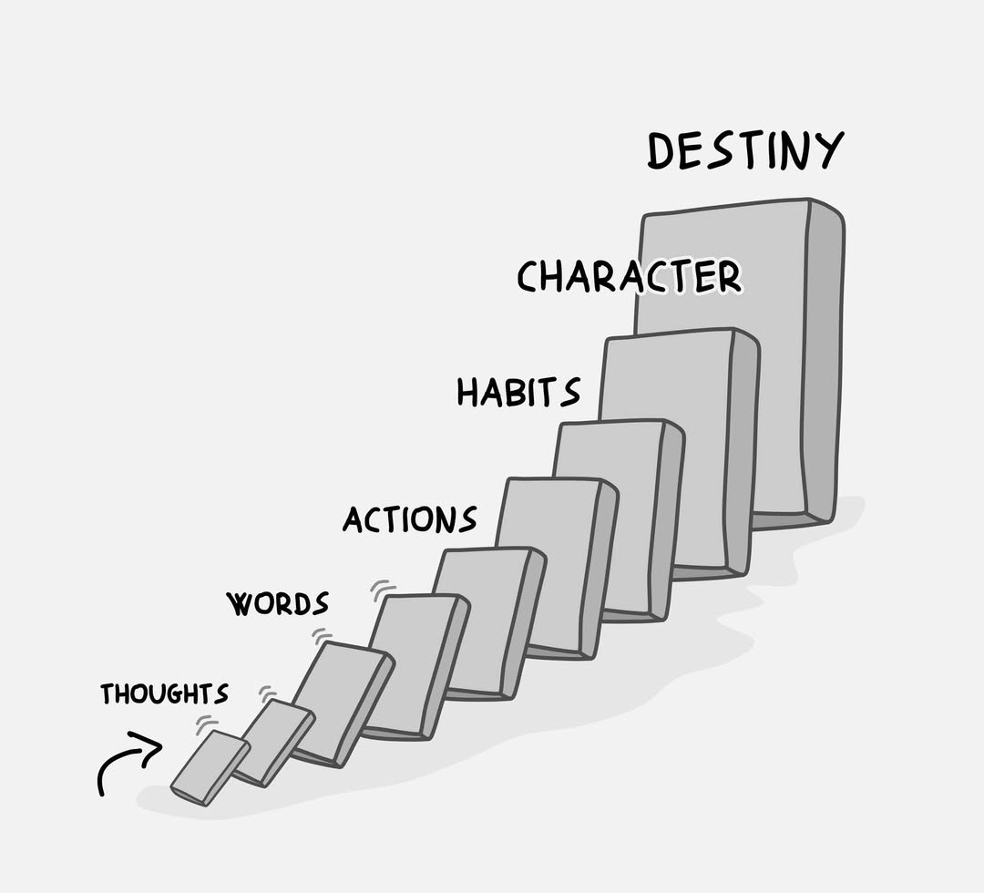 Seek Wiser (@seekwiser_) on Twitter photo 