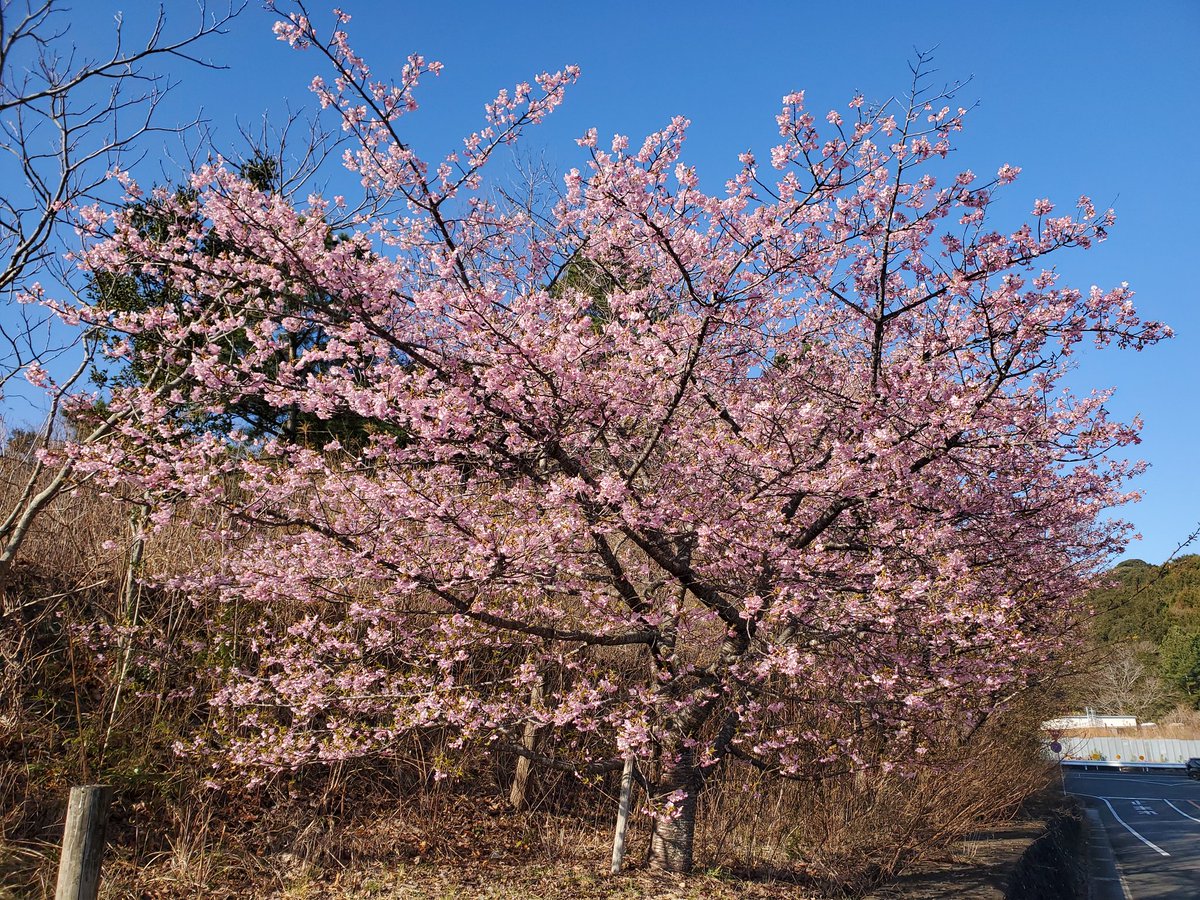 GC27_AUTECH's tweet image. マーチ東海MTG無事に終了しました🙂‍↕️
参加された皆様お疲れ様でした
来年もまたP3駐車場で👋
#K10 #K11 #K12 #K13
#小笠山総合運動公園
#マーチ東海MTG
