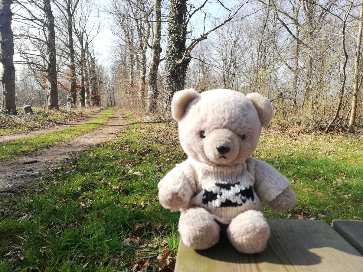 boeleke_op_reis's tweet image. Another sunny day. Another walk. #walkingisfun #schaffen