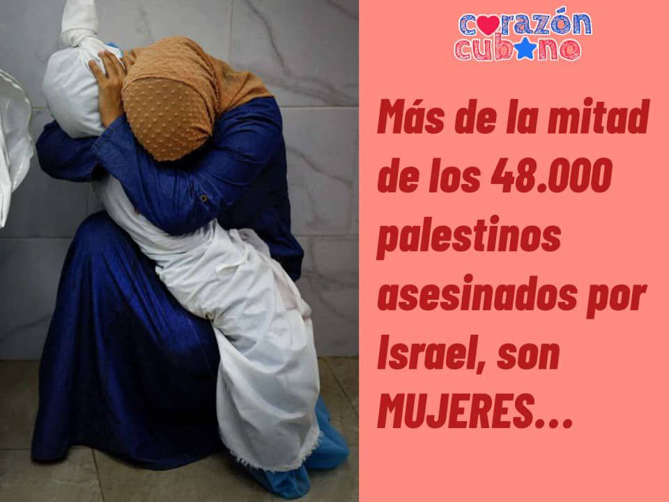 Si hay mujeres que merecen tanta admiración como las cubanas, son las palestinas; las asesinadas por el régimen israelo-estadounidense y las que seguirán asumiendo el derecho a la independencia , a riesgo de su propia vida. Para ellas, el eterno abrazo.
#Cuba
#FreePalestine