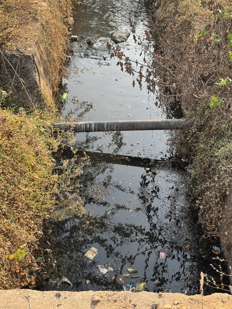 Vikas Daniel tweet media