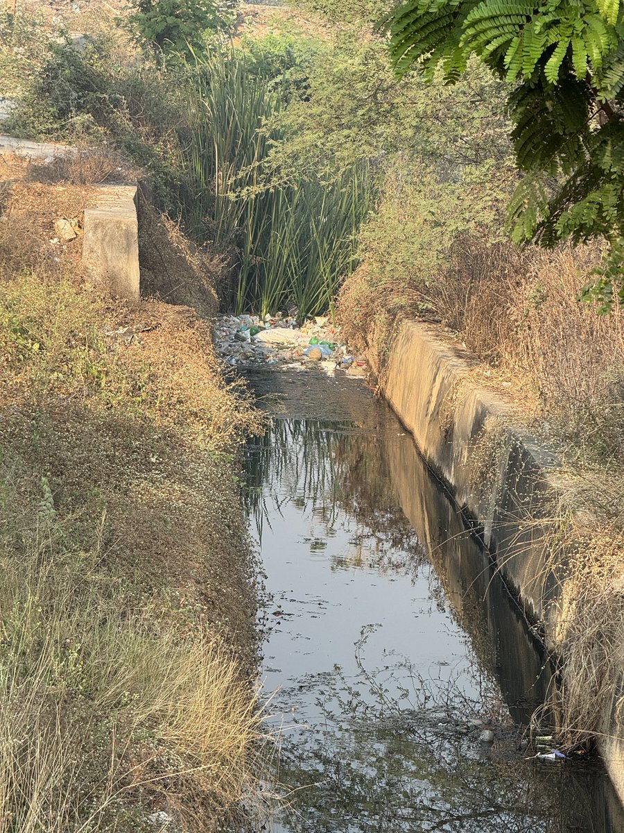 Vikas Daniel tweet media