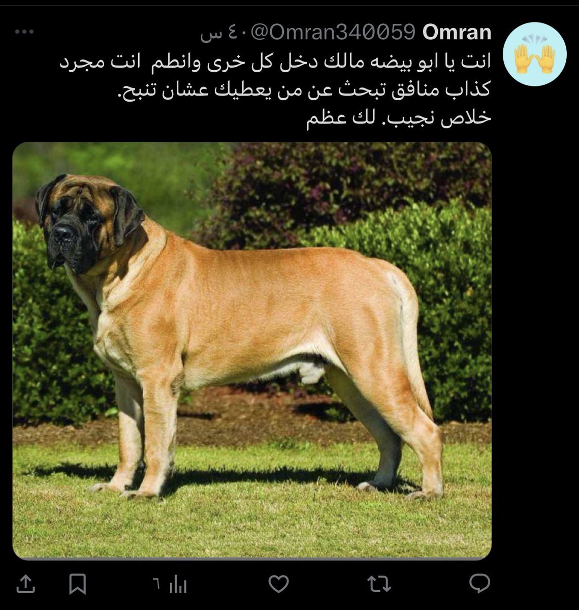 Aboelez_radwan's tweet photo. الناس دى غلطت عليا عشان النصر ضاغطهم وانا كطعميه ضاغطهم مش فارق معايا الا الجبان اللى عمل بلوك اما الباقيين عندهم شجاعه انهم يترد عليهم …. لو عرفتوا الجبان اللى عمل البلوك فالصور  منشنوه بالله #النصر https://t.co/MrTR2VEreL