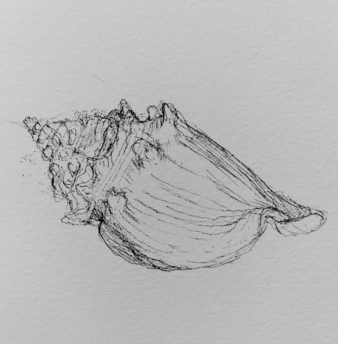 7:15 is really 6:15 but these are the lines of a shell either way