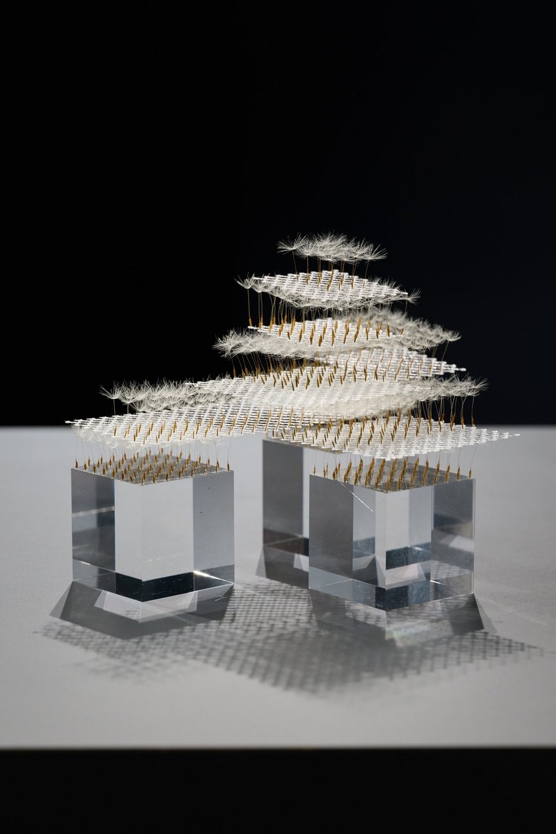 パライソは聳えて