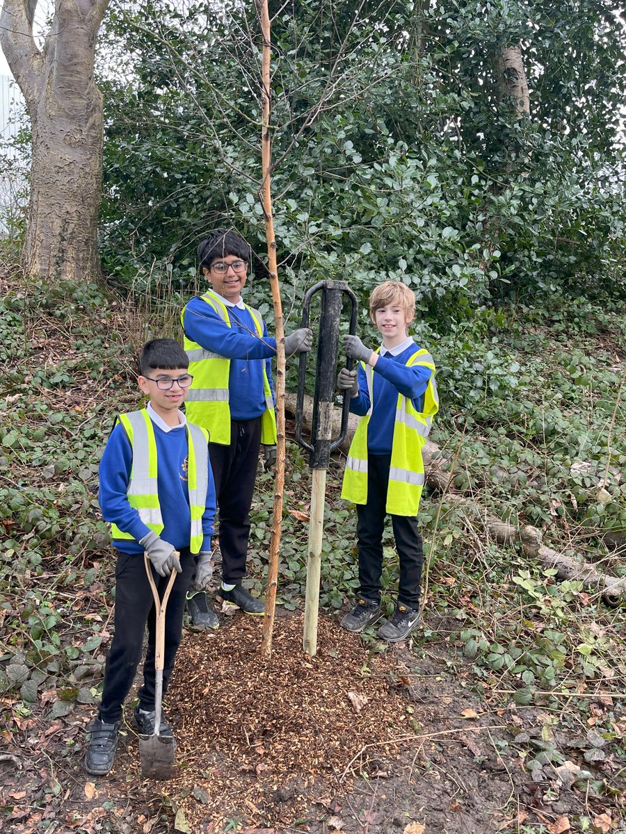 Victoria Primary School tweet media