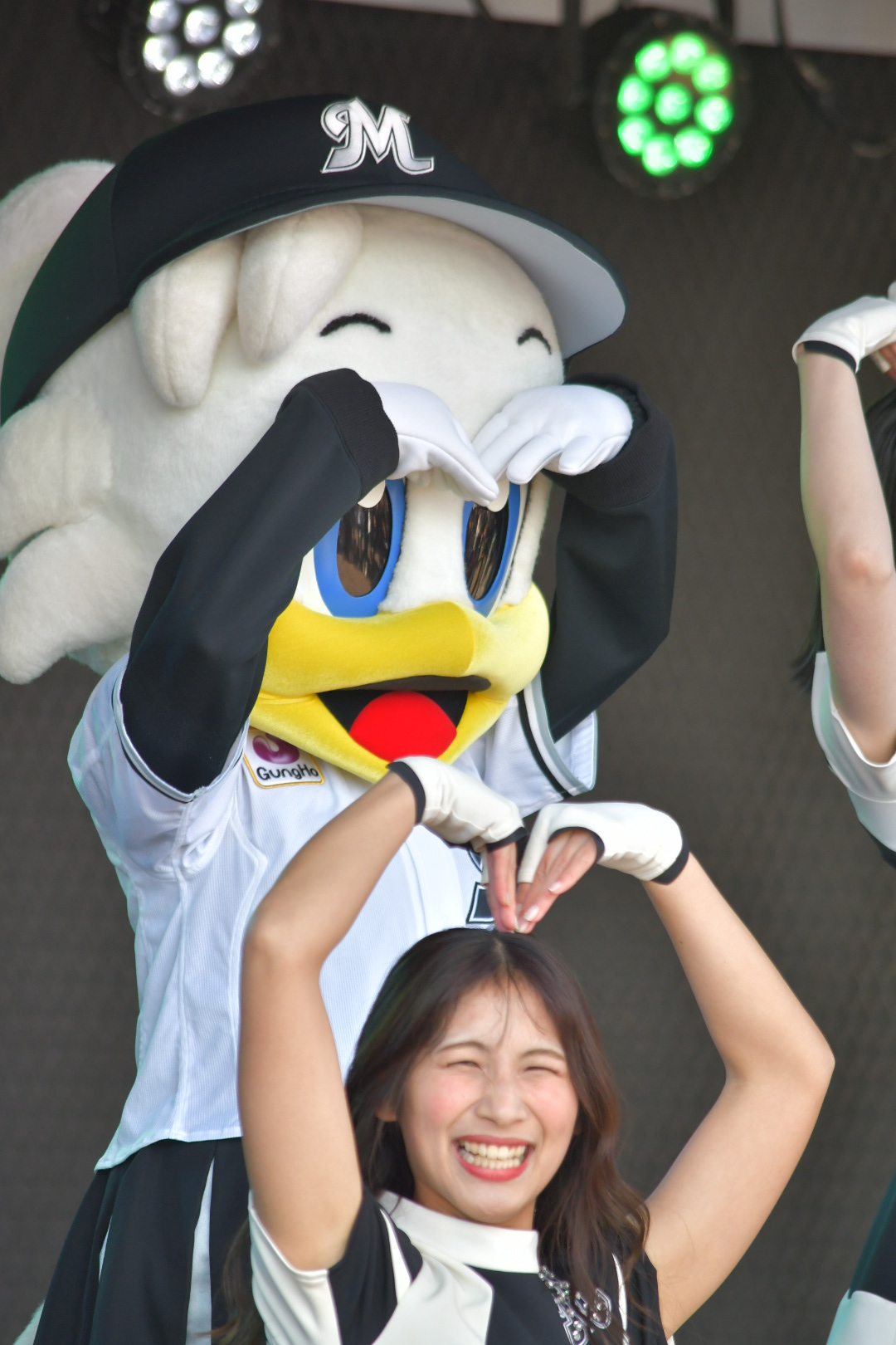 ポリーポラリス コラ 