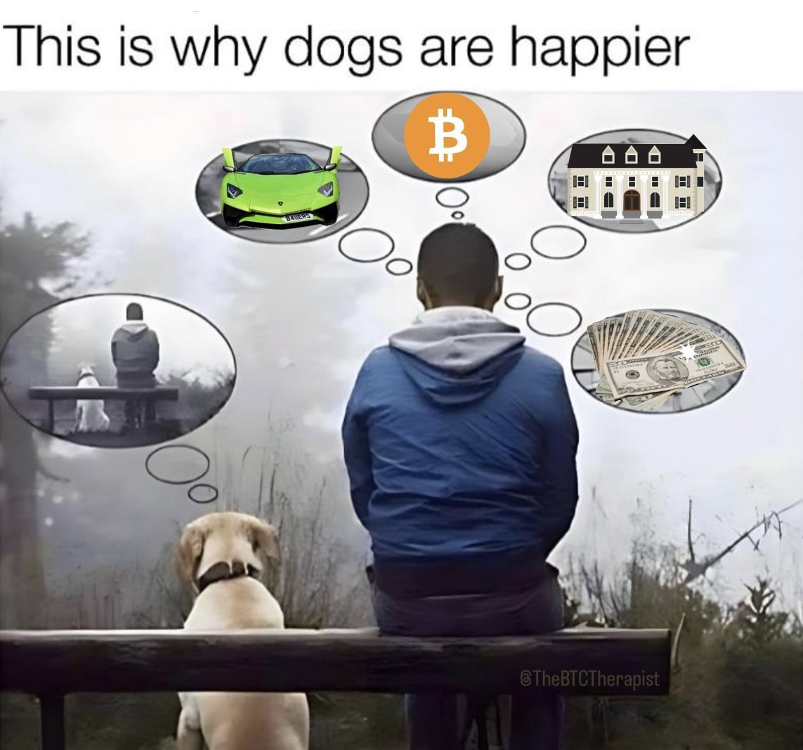 it’s a great day to be a gratitude maximalist.

gm