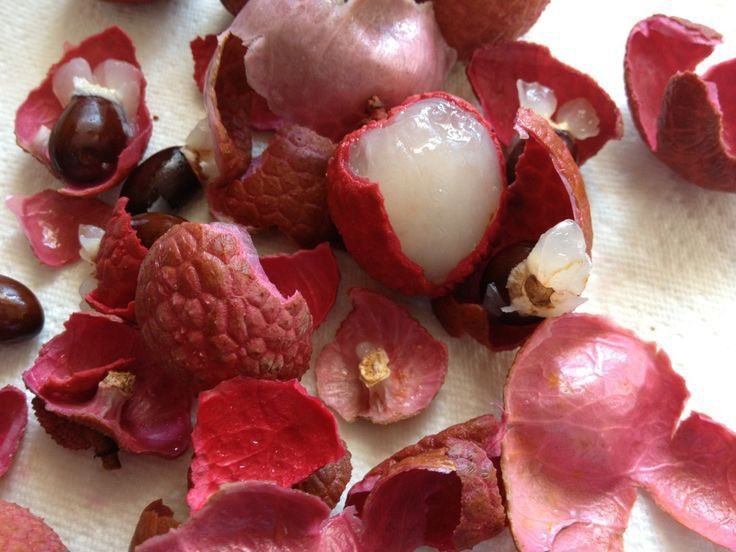 aray🪁 tweet media