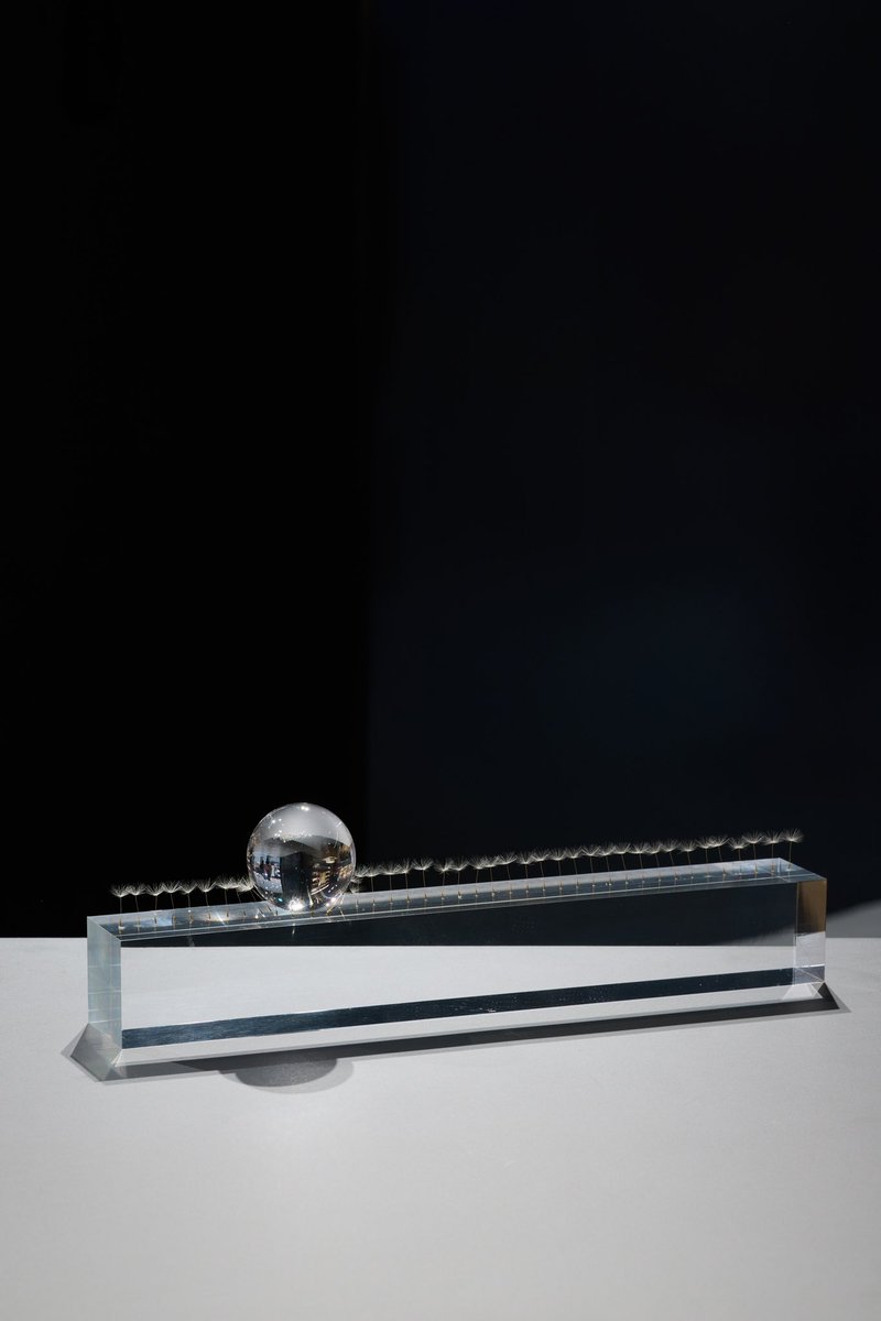 京都蔦屋書店の個展にて。
展示中この作品の一部が破損しているようですが、水曜日に修復しますので心配なさらぬよう。

おそらく、綿毛に触っちゃったかなという感じです。触りたくなりますよね。作者もそう思いながら作ってます。

触りたくなったら、スタッフにお声がけくださいね。