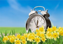 Just a reminder: It’s time to #SpringForward this weekend as we start #DaylightSavingTime. Don’t forget to set your clocks one hour ahead on Sunday, March 10 at 2:00 am.