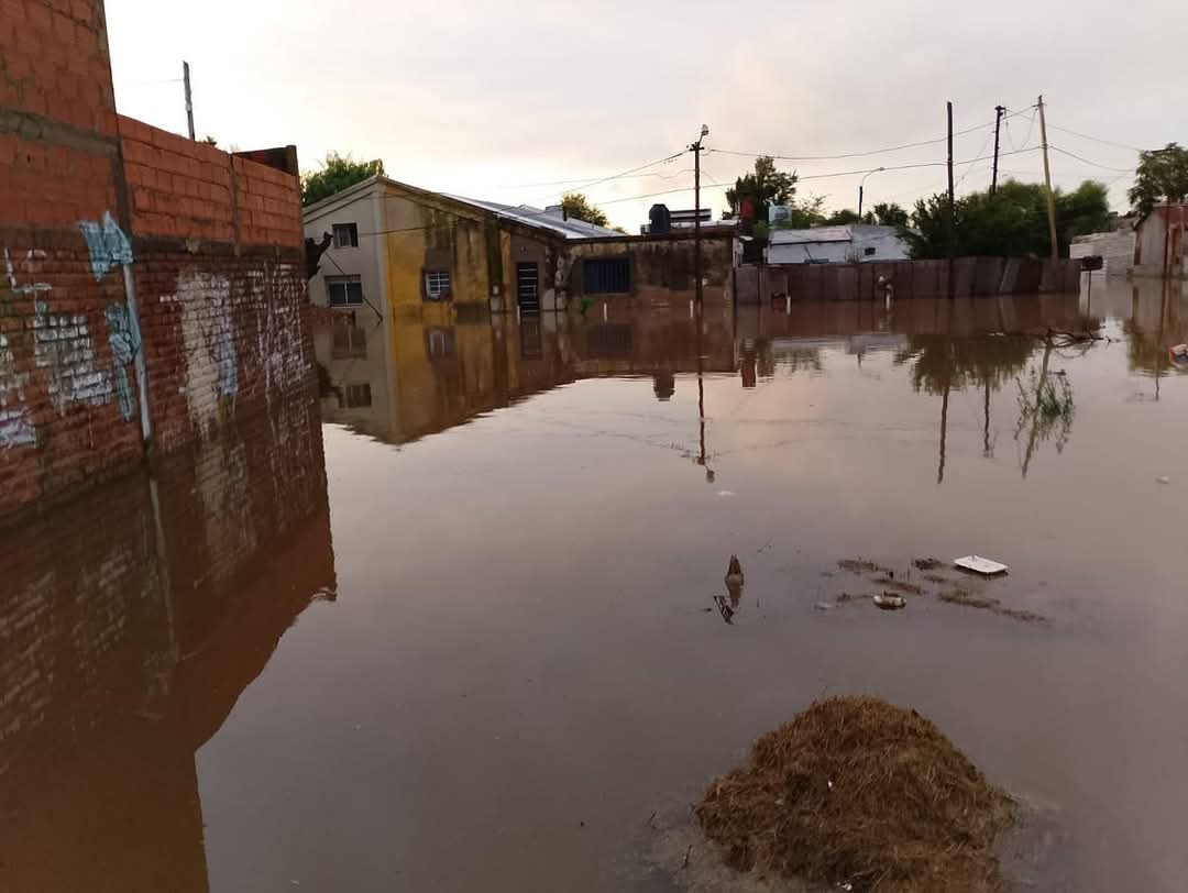 Red Solidaria tweet media