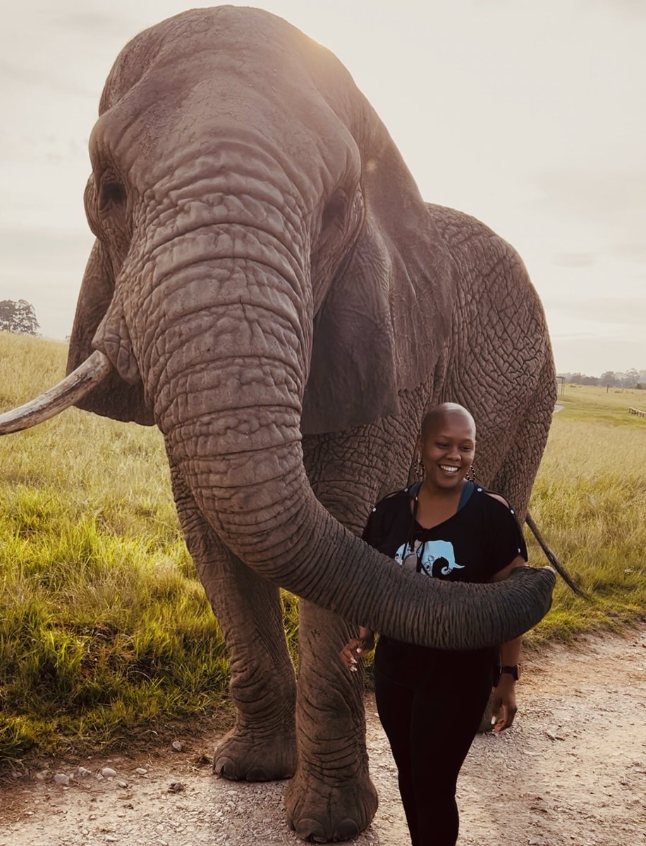 MicTshepi's tweet image. +1 🎈🐘 Happy Birthday Ndlovukazi. 
Grateful to God for another year around the sun 🫶 God’s grace has really carried me and I’m so grateful 🙏🏾

This post is really about F8 &amp;amp; 9 , My girl 🐘 making sure I don’t leave after our 2km walk 🥺

#Birthday #9March #ElephantSanctuary