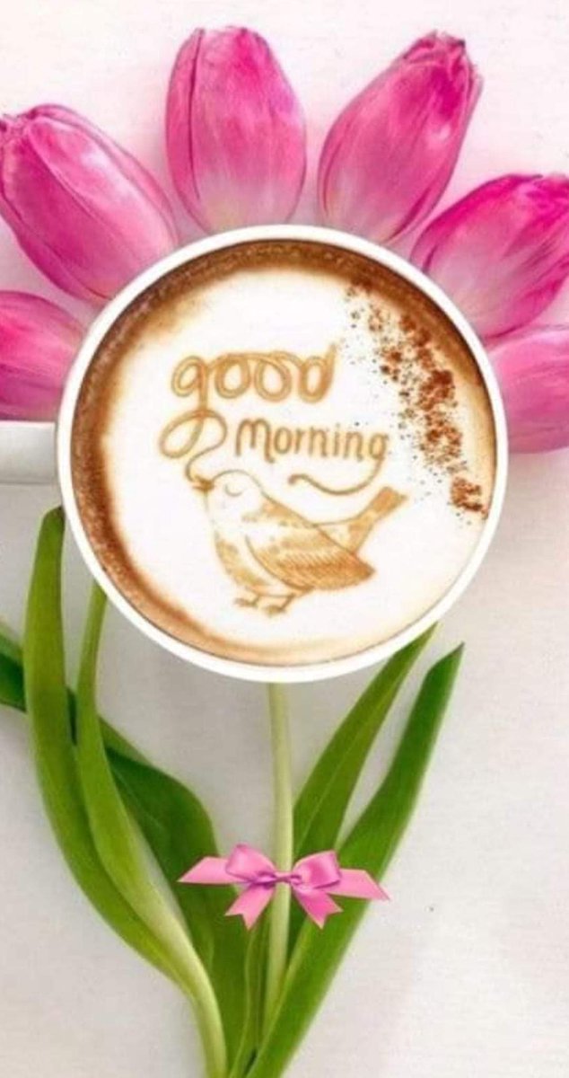 John Schaub tweet media