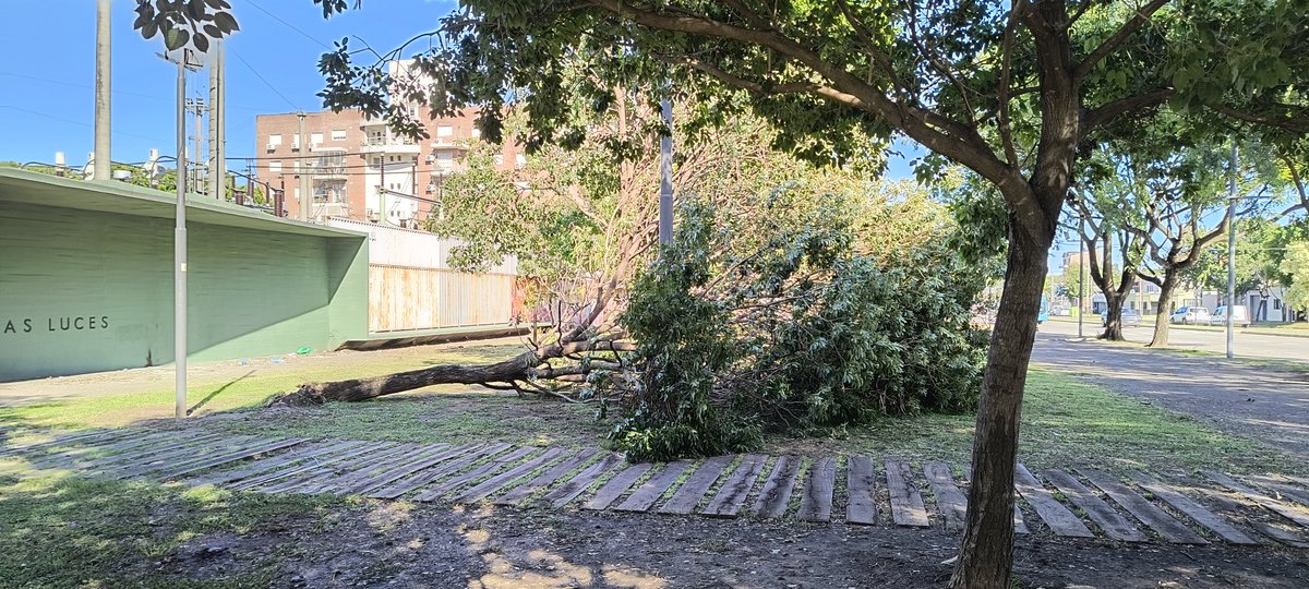 #Atencion Plaza De Las Luces
Árbol Caído <a href="/MuniRosario/">Municipalidad de Rosario</a> 
<a href="/CaroLabayru/">Carolina Labayru</a> <a href="/defensacivilco1/">Gestión de Riesgos y Protección Civil - Rosario</a> 
<a href="/emergenciasAR/">red de emergencias</a>