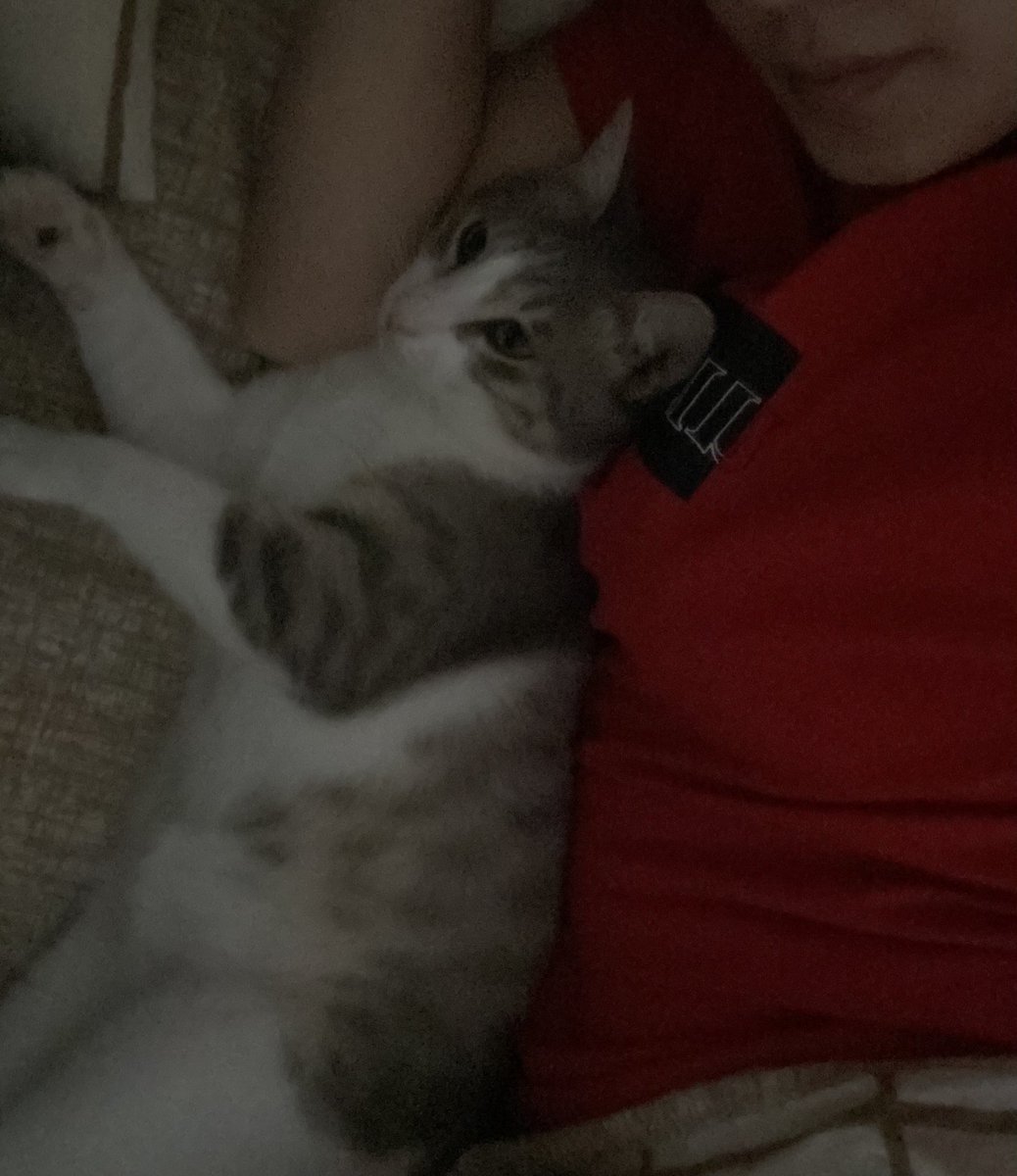 Sabak sabak huyudmadılar derin düsümcelerdeydim