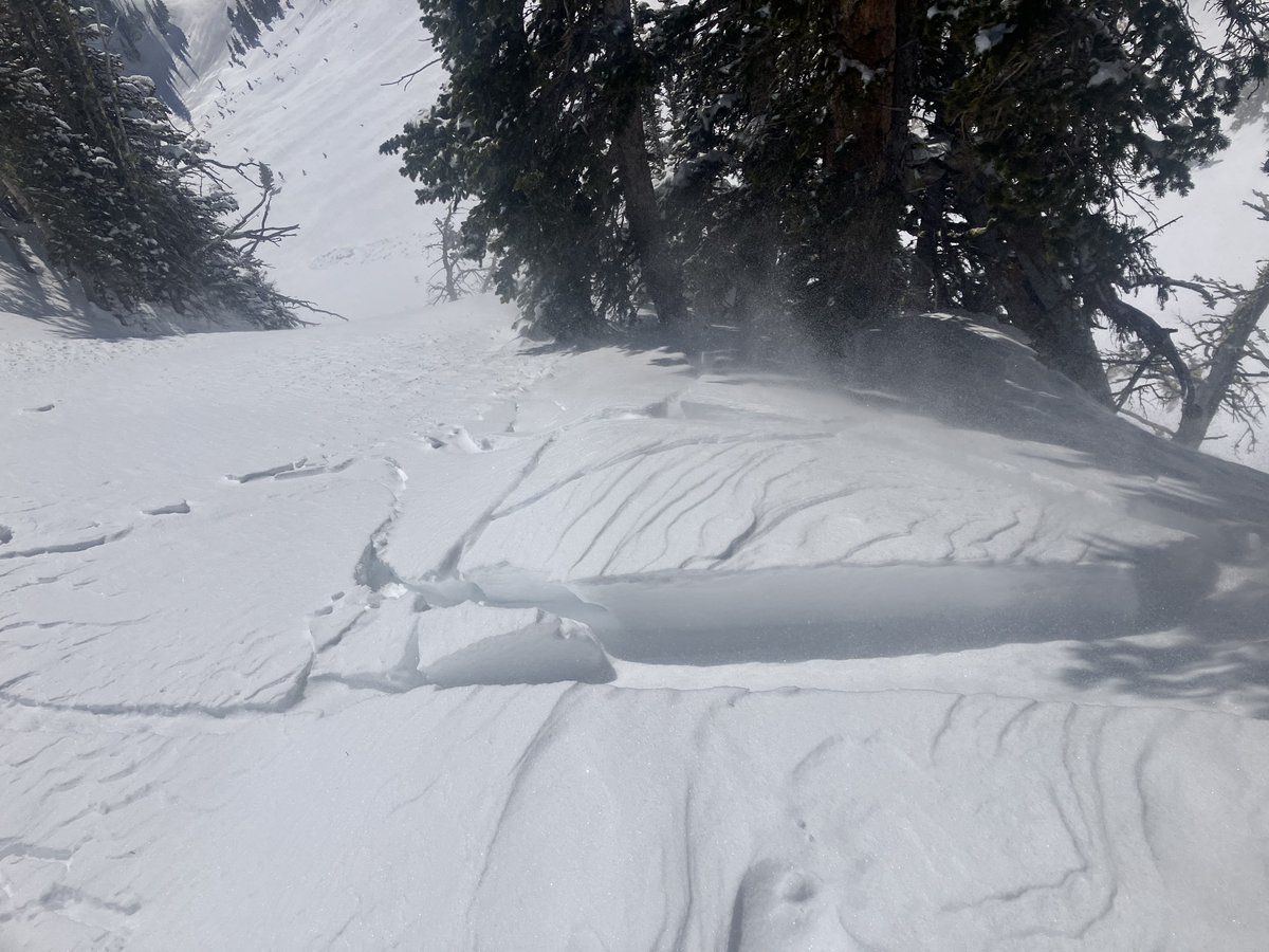 March 9: mtavalanche.com/forecast The avalanche danger is MODERATE near Bozeman, Big Sky, West Yellowstone, and Island Park.

Cooke City got less new snow last week, so the likelihood and size of potential avalanches is smaller. The avalanche danger is LOW in Cooke City.