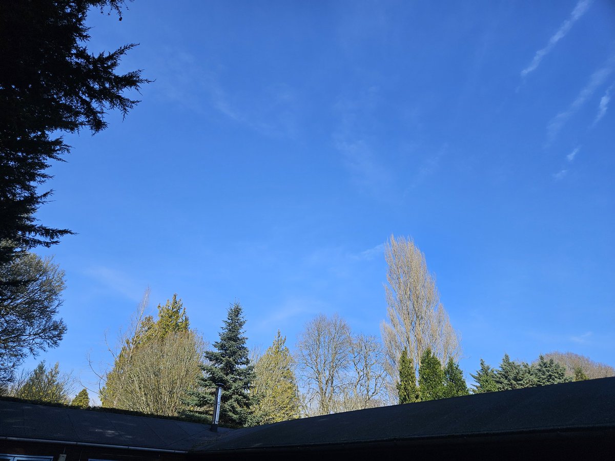 mbc22's tweet image. #Evergreens and #Seasonal deciduous trees. To me, it&apos;s the #StartOfSpring that signals #EverythjngComingTogether. Here&apos;s to great seasons ahead.