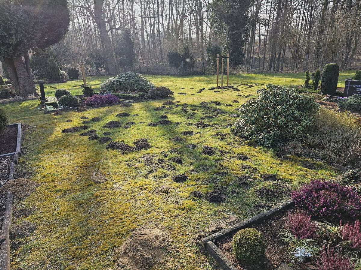 Wenn Tiere wichtiger als Tote sind ...