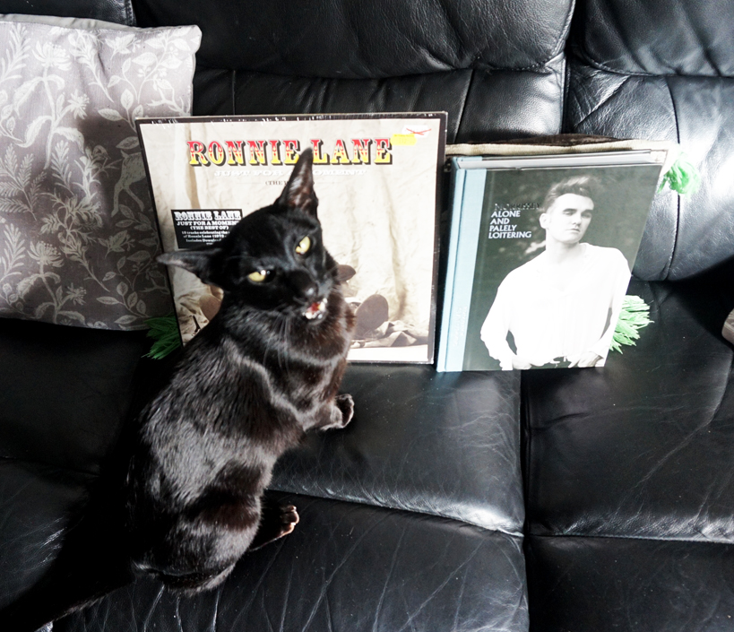 #mofidelityrecords first wee trip thru this year - George Hotel for an excellent spot of lunch and a trip to the record shop, lovely staff and look what i got for 22quid PS not the cat