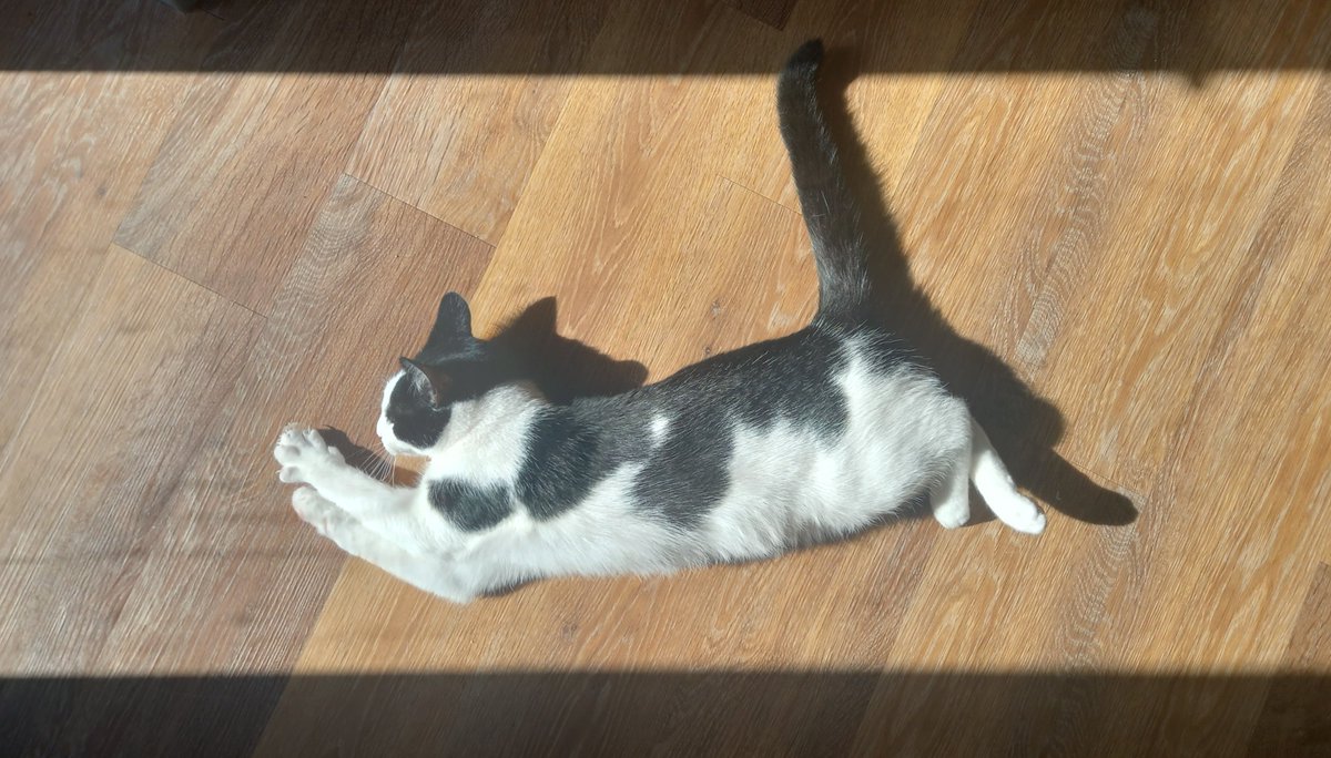 Dudley
