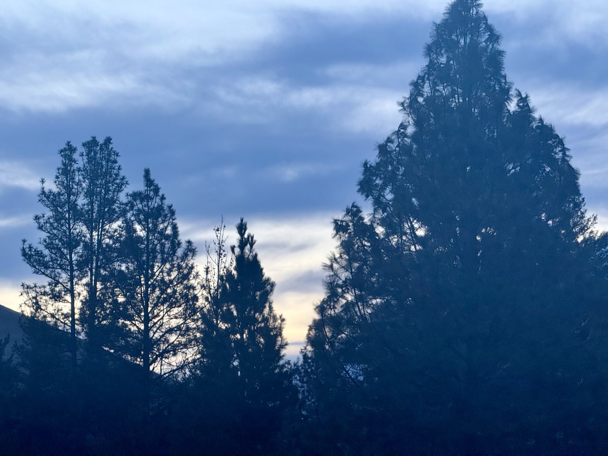 The first day of spring forward is here! I have to admit, waking up in the dark isn’t my favorite part, but I do love those long summer evenings with extra daylight.