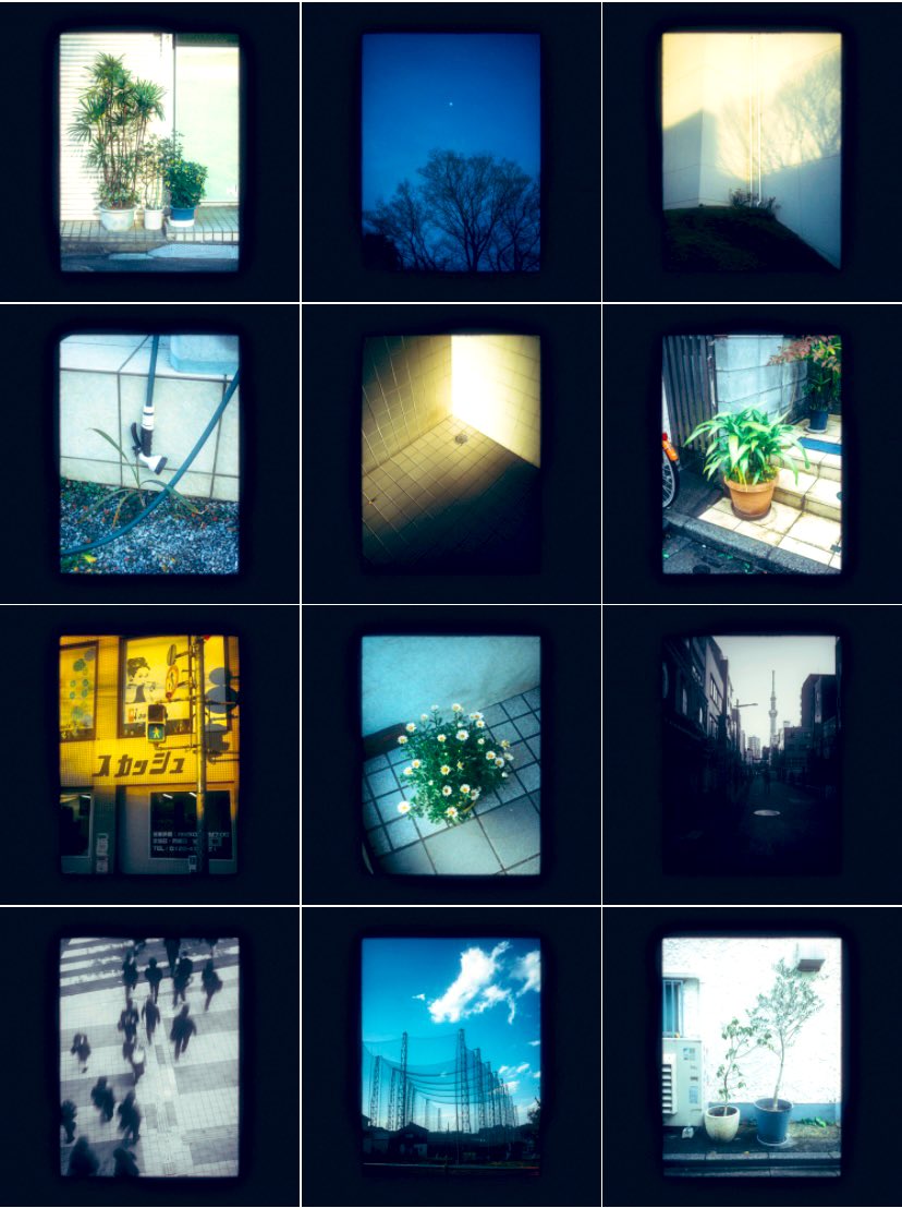 ゆた。 (@yu29_18_) on Twitter photo 