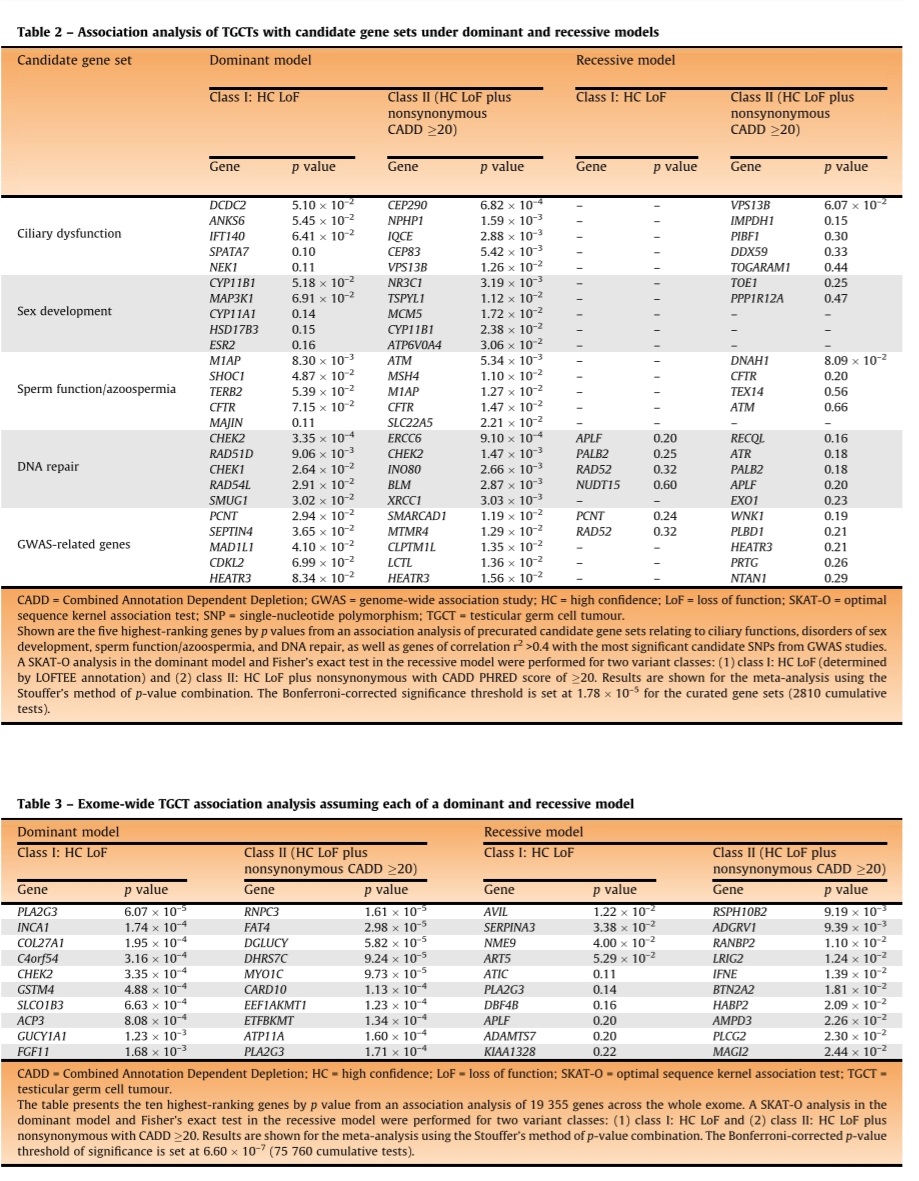Dra. María Natalia Gandur Quiroga (@nataliagandur) on Twitter photo 💫🌟🔬 Unraveling the Genetic Landscape of Testicular Germ Cell Tumors (TGCT)! 🧬🌟💫
❗️Largest whole-exome meta-analysis in TGCT to date sheds light on genetic predisposition in 1,435 cases vs. 18,284 controls.
#ZeidKuzbari <a href="/CRowlandsBio/">Charlie Rowlands</a> #IsaacWade #AliceGarrett
<a href="/LovedayChey/">Chey Loveday</a> 💫🌟🔬 Unraveling the Genetic Landscape of Testicular Germ Cell Tumors (TGCT)! 🧬🌟💫
❗️Largest whole-exome meta-analysis in TGCT to date sheds light on genetic predisposition in 1,435 cases vs. 18,284 controls.
#ZeidKuzbari <a href="/CRowlandsBio/">Charlie Rowlands</a> #IsaacWade #AliceGarrett
<a href="/LovedayChey/">Chey Loveday</a>