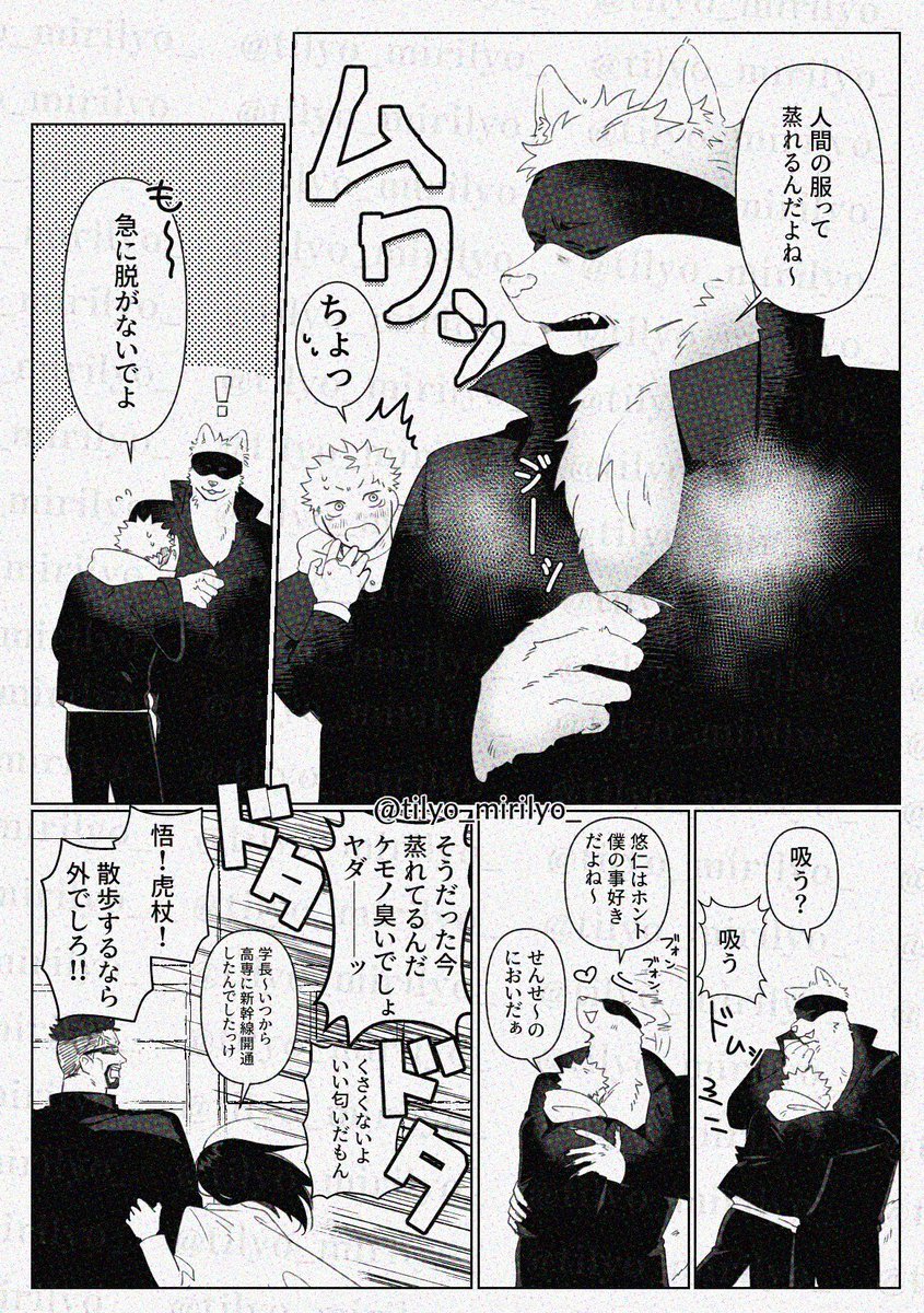 ケモ🐶先生(五悠) 