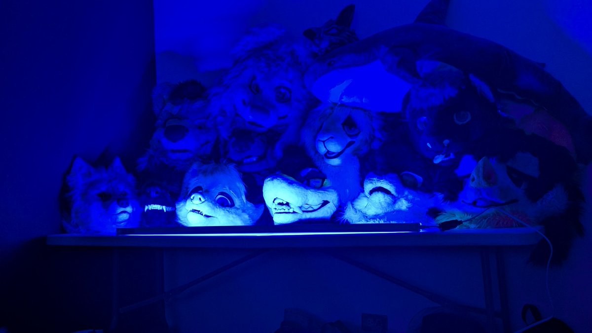 It was a long day, but I'm so glad I got to experience it! Thank you for the good moments.