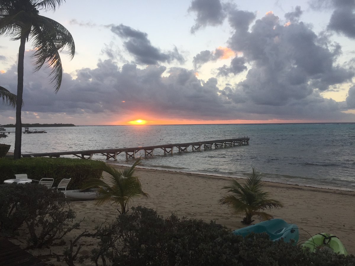 Tim W. Jackson tweet media