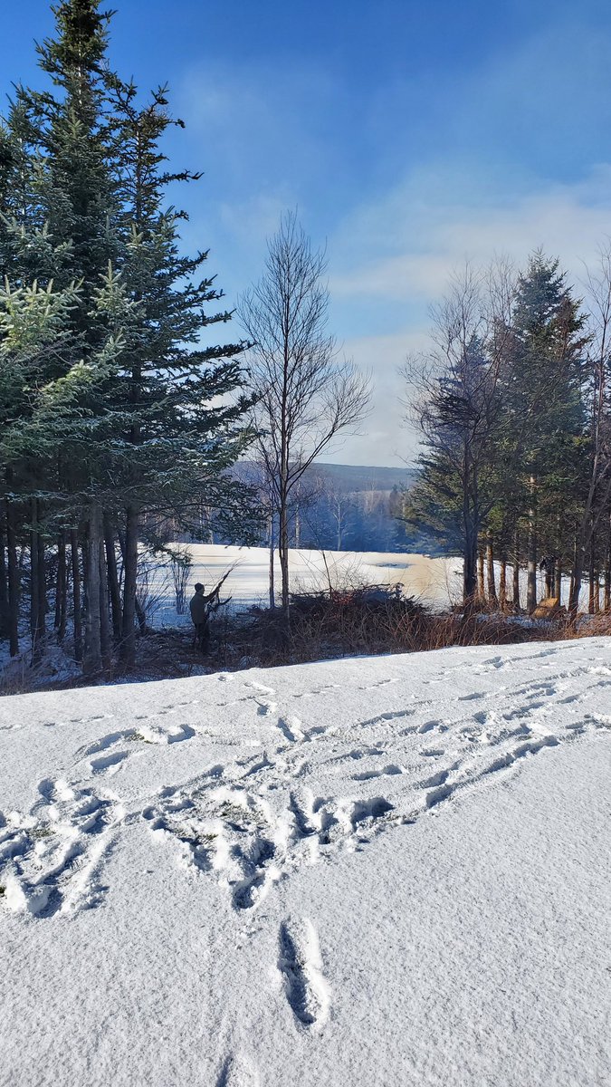 Max Finchem tweet media