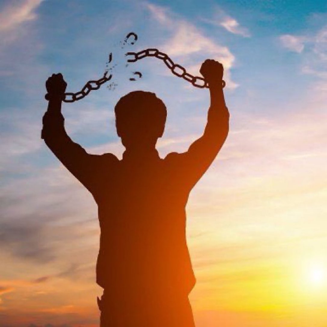 ✮🕷✮ tweet media