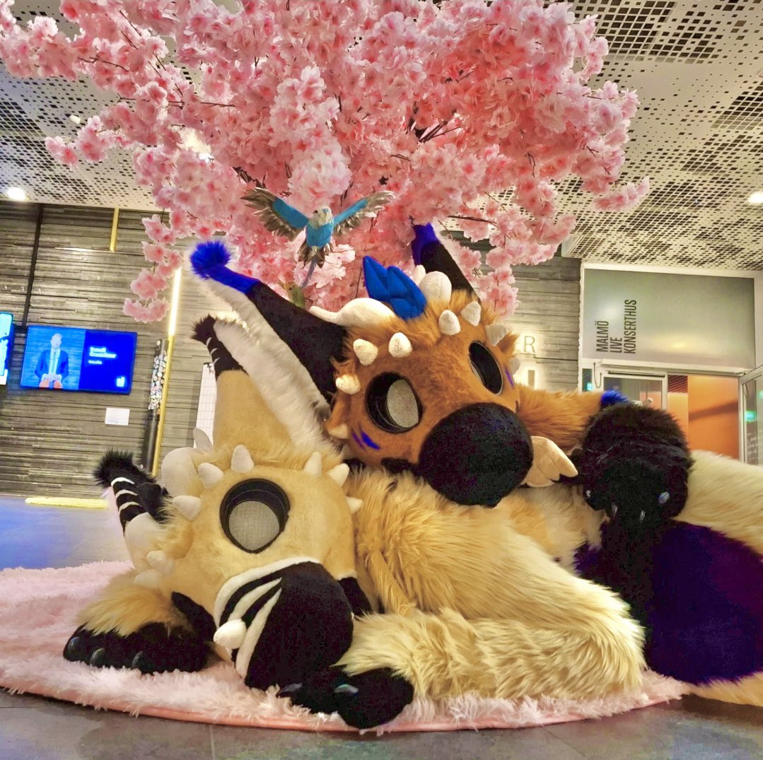 Demo “🔜”EF30 tweet media