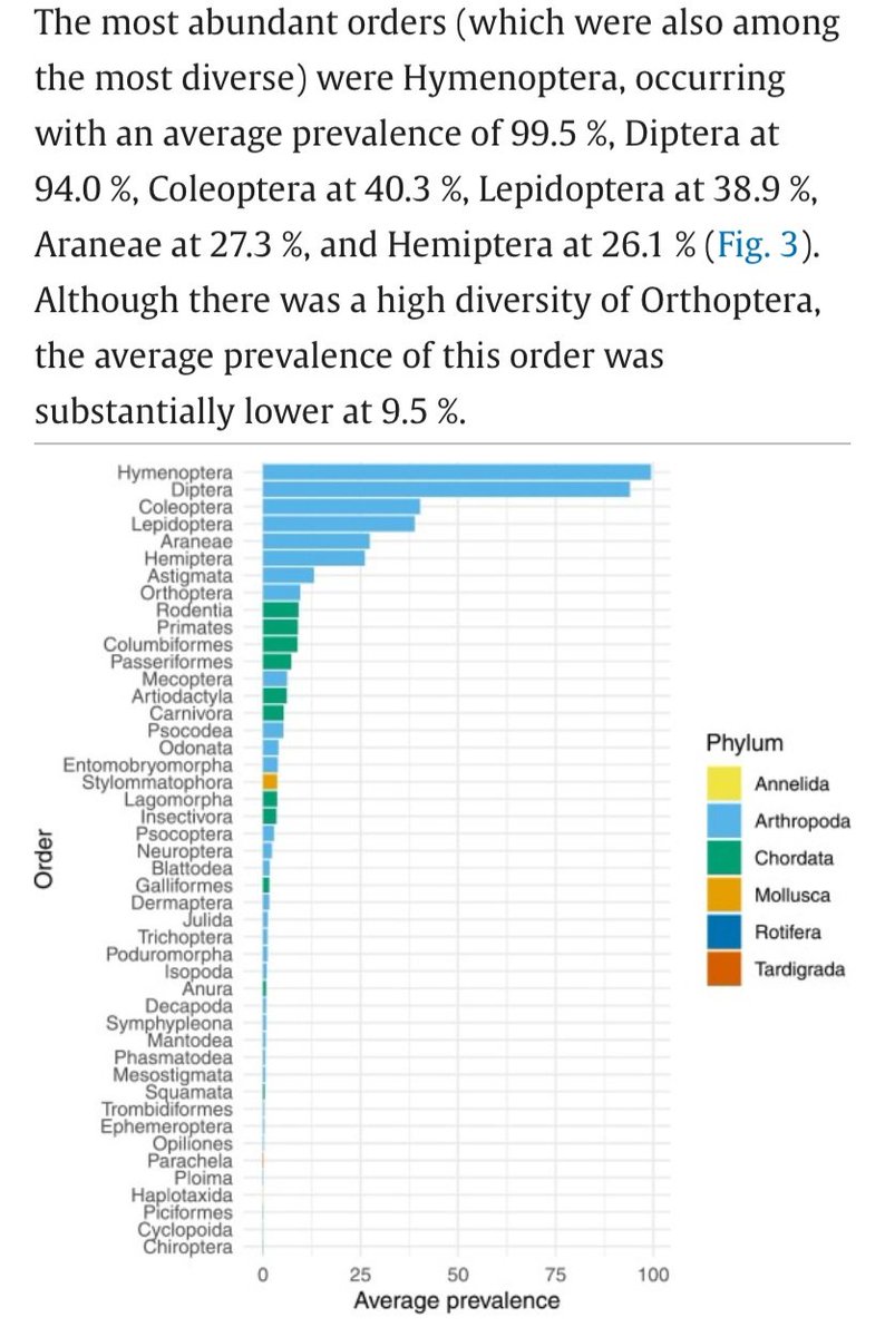 Probably what we already knew but Asian #Hornets feeding data is now in. Not good news. Top on their food list:
Bees and wasps
Flies
Butterflies and Moths
Bugs
Beetles
Grasshoppers
