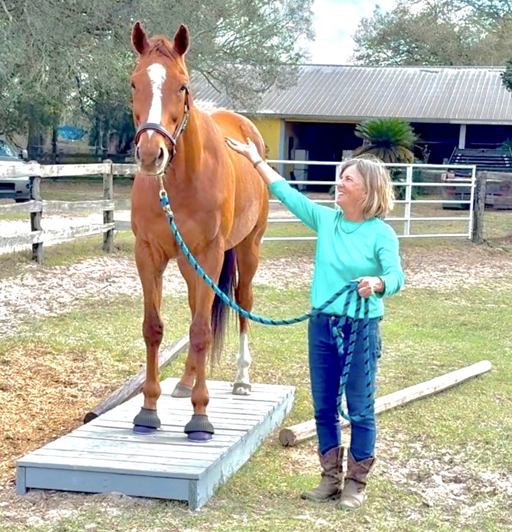 run4theribbons's tweet photo. @LourdesAbellera @BloodHorse @JFDAngelo He’s happy as a clam, enjoying his retirement! https://t.co/BE4EPfqm8D