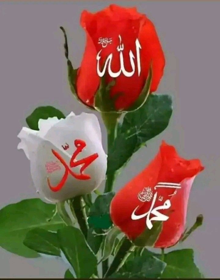 YASEEN (@y22ny) on Twitter photo ðµðŸð»ð»ðŸð
#P_PTi ð
°ïžâ 07
<a href="/MNPTi1/">ð.ðððâââðð²ð«ð°ðŠð£ðïžââ Ø§ØšÙسÙÙ
ââð¶</a> <a href="/As_t40/">ð ðððððð«</a> <a href="/NM1k_/">àŒº ððµð¬ð¬ðµðšð¯ð àŒ»</a>
<a href="/CarloSportfan/">SportISmyLIFE âœâŸððððŸð³ððâ³</a> <a href="/Y22NY/">YASEEN</a>
<a href="/JanKaptain804/">KapTaiN JaN᎟áµáµáŽŸáµÊ·áµÊ³</a>
<a href="/QaziFzlhqAfridi/">Fazal Afridi</a>
<a href="/hoorzadi1234/">hoor zadi â€ïžâ€ïžâ€ïž</a>
<a href="/zubm9231/">ZUBAIR Muhammad</a>
<a href="/zarva_786/">ê§â¬ððžðŒð±ð®ð®ð· ððŸð»ð·ðªð°ððªð²ð«â¬ê§ áµáµáµáµË¢áµáµ</a>
<a href="/Aa_ban1/">âïž» #TmGriffinsðŠ
ïž»â</a>
<a href="/Khan7ii/">Shaheen khan</a>
<a href="/ab7835/">Mian Abdullah</a>
<a href="/Lu_v_u2/">ðº PARIS ðº</a>
<a href="/ik_553/">.â â â â âðãã¹ã«ã³ ðð®ð¬ð€ðð§ð. â â â â â âð</a>
<a href="/P_PTi3/">ð_ððð¢ _ð ðððððððð</a>
@1nzk0
<a href="/Pk6_1/">P khan</a>
<a href="/b364_/">ð
°ïžleena Khan â€ïž</a>
<a href="/ik1iiii/">Imran khan tiger ð
</a>
<a href="/br6n_/">ð¥ð¥àž¿ââÐÃá§Ðð¥ð¥</a>
<a href="/ShaguftaMansoo9/">Mrs.SM</a> <a href="/nbea_h/">#ðŸððððð±ðððððð #ð¿ððð±ðððððð</a>
<a href="/ARI2_1/">Ariana</a> <a href="/shz787/">ðâïžððsÊáŽÊᎢáŽáŽ
áŽáŽÉŽÉªÊðâïžðâïž</a> <a href="/00munsif/">#ð_ððð¢ ð ðð®ð§ð¬ð¢ð ðð¥ð¢</a> ðµðŸð»ð»ðŸð
#P_PTi ð
°ïžâ 07
<a href="/MNPTi1/">ð.ðððâââðð²ð«ð°ðŠð£ðïžââ Ø§ØšÙسÙÙ
ââð¶</a> <a href="/As_t40/">ð ðððððð«</a> <a href="/NM1k_/">àŒº ððµð¬ð¬ðµðšð¯ð àŒ»</a>
<a href="/CarloSportfan/">SportISmyLIFE âœâŸððððŸð³ððâ³</a> <a href="/Y22NY/">YASEEN</a>
<a href="/JanKaptain804/">KapTaiN JaN᎟áµáµáŽŸáµÊ·áµÊ³</a>
<a href="/QaziFzlhqAfridi/">Fazal Afridi</a>
<a href="/hoorzadi1234/">hoor zadi â€ïžâ€ïžâ€ïž</a>
<a href="/zubm9231/">ZUBAIR Muhammad</a>
<a href="/zarva_786/">ê§â¬ððžðŒð±ð®ð®ð· ððŸð»ð·ðªð°ððªð²ð«â¬ê§ áµáµáµáµË¢áµáµ</a>
<a href="/Aa_ban1/">âïž» #TmGriffinsðŠ
ïž»â</a>
<a href="/Khan7ii/">Shaheen khan</a>
<a href="/ab7835/">Mian Abdullah</a>
<a href="/Lu_v_u2/">ðº PARIS ðº</a>
<a href="/ik_553/">.â â â â âðãã¹ã«ã³ ðð®ð¬ð€ðð§ð. â â â â â âð</a>
<a href="/P_PTi3/">ð_ððð¢ _ð ðððððððð</a>
@1nzk0
<a href="/Pk6_1/">P khan</a>
<a href="/b364_/">ð
°ïžleena Khan â€ïž</a>
<a href="/ik1iiii/">Imran khan tiger ð
</a>
<a href="/br6n_/">ð¥ð¥àž¿ââÐÃá§Ðð¥ð¥</a>
<a href="/ShaguftaMansoo9/">Mrs.SM</a> <a href="/nbea_h/">#ðŸððððð±ðððððð #ð¿ððð±ðððððð</a>
<a href="/ARI2_1/">Ariana</a> <a href="/shz787/">ðâïžððsÊáŽÊᎢáŽáŽ
áŽáŽÉŽÉªÊðâïžðâïž</a> <a href="/00munsif/">#ð_ððð¢ ð ðð®ð§ð¬ð¢ð ðð¥ð¢</a>