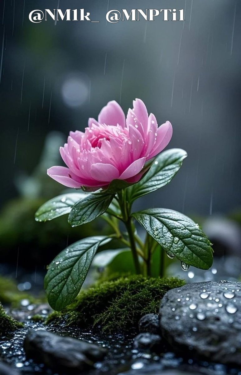 ıllıllı ðž NÍEÍEÍNÍAÍHÍ ðž ıllıllı (@nm2k__) on Twitter photo ðµðŸð»ð»ðŸð
#P_PTi ð
°ïžâ 15
<a href="/MNPTi1/">ð.ðððâââðð²ð«ð°ðŠð£ðïžââ Ø§ØšÙسÙÙ
ââð¶</a> <a href="/As_t40/">ð ðððððð«</a> <a href="/NM1k_/">àŒº ððµð¬ð¬ðµðšð¯ð àŒ»</a>
<a href="/CarloSportfan/">SportISmyLIFE âœâŸððððŸð³ððâ³</a> <a href="/Y22NY/">YASEEN</a>
<a href="/JanKaptain804/">KapTaiN JaN᎟áµáµáŽŸáµÊ·áµÊ³</a>
<a href="/QaziFzlhqAfridi/">Fazal Afridi</a>
<a href="/hoorzadi1234/">hoor zadi â€ïžâ€ïžâ€ïž</a>
<a href="/zubm9231/">ZUBAIR Muhammad</a>
<a href="/zarva_786/">ê§â¬ððžðŒð±ð®ð®ð· ððŸð»ð·ðªð°ððªð²ð«â¬ê§ áµáµáµáµË¢áµáµ</a>
<a href="/Aa_ban1/">âïž» #TmGriffinsðŠ
ïž»â</a>
<a href="/Khan7ii/">Shaheen khan</a>
<a href="/ab7835/">Mian Abdullah</a>
<a href="/Lu_v_u2/">ðº PARIS ðº</a>
<a href="/ik_553/">.â â â â âðãã¹ã«ã³ ðð®ð¬ð€ðð§ð. â â â â â âð</a>
<a href="/P_PTi3/">ð_ððð¢ _ð ðððððððð</a>
@1nzk0
<a href="/Pk6_1/">P khan</a>
<a href="/b364_/">ð
°ïžleena Khan â€ïž</a>
<a href="/ik1iiii/">Imran khan tiger ð
</a>
<a href="/br6n_/">ð¥ð¥àž¿ââÐÃá§Ðð¥ð¥</a>
<a href="/ShaguftaMansoo9/">Mrs.SM</a> <a href="/nbea_h/">#ðŸððððð±ðððððð #ð¿ððð±ðððððð</a>
<a href="/ARI2_1/">Ariana</a> <a href="/shz787/">ðâïžððsÊáŽÊᎢáŽáŽ
áŽáŽÉŽÉªÊðâïžðâïž</a> <a href="/00munsif/">#ð_ððð¢ ð ðð®ð§ð¬ð¢ð ðð¥ð¢</a> ðµðŸð»ð»ðŸð
#P_PTi ð
°ïžâ 15
<a href="/MNPTi1/">ð.ðððâââðð²ð«ð°ðŠð£ðïžââ Ø§ØšÙسÙÙ
ââð¶</a> <a href="/As_t40/">ð ðððððð«</a> <a href="/NM1k_/">àŒº ððµð¬ð¬ðµðšð¯ð àŒ»</a>
<a href="/CarloSportfan/">SportISmyLIFE âœâŸððððŸð³ððâ³</a> <a href="/Y22NY/">YASEEN</a>
<a href="/JanKaptain804/">KapTaiN JaN᎟áµáµáŽŸáµÊ·áµÊ³</a>
<a href="/QaziFzlhqAfridi/">Fazal Afridi</a>
<a href="/hoorzadi1234/">hoor zadi â€ïžâ€ïžâ€ïž</a>
<a href="/zubm9231/">ZUBAIR Muhammad</a>
<a href="/zarva_786/">ê§â¬ððžðŒð±ð®ð®ð· ððŸð»ð·ðªð°ððªð²ð«â¬ê§ áµáµáµáµË¢áµáµ</a>
<a href="/Aa_ban1/">âïž» #TmGriffinsðŠ
ïž»â</a>
<a href="/Khan7ii/">Shaheen khan</a>
<a href="/ab7835/">Mian Abdullah</a>
<a href="/Lu_v_u2/">ðº PARIS ðº</a>
<a href="/ik_553/">.â â â â âðãã¹ã«ã³ ðð®ð¬ð€ðð§ð. â â â â â âð</a>
<a href="/P_PTi3/">ð_ððð¢ _ð ðððððððð</a>
@1nzk0
<a href="/Pk6_1/">P khan</a>
<a href="/b364_/">ð
°ïžleena Khan â€ïž</a>
<a href="/ik1iiii/">Imran khan tiger ð
</a>
<a href="/br6n_/">ð¥ð¥àž¿ââÐÃá§Ðð¥ð¥</a>
<a href="/ShaguftaMansoo9/">Mrs.SM</a> <a href="/nbea_h/">#ðŸððððð±ðððððð #ð¿ððð±ðððððð</a>
<a href="/ARI2_1/">Ariana</a> <a href="/shz787/">ðâïžððsÊáŽÊᎢáŽáŽ
áŽáŽÉŽÉªÊðâïžðâïž</a> <a href="/00munsif/">#ð_ððð¢ ð ðð®ð§ð¬ð¢ð ðð¥ð¢</a>