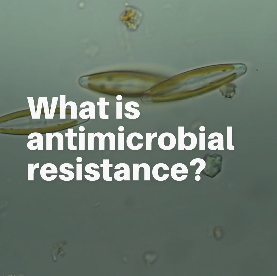 Antimicrobial resistance poses a threat to human and animal health, as well as the environment. What exactly is it and what factors are accelerating its spread?

Find out more: unep.org/news-and-stori…
