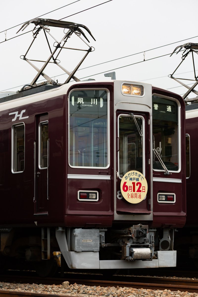 やはり今回の展示会で大人気だったのがC#8000の復元。
てっきり、あってもシールで帯を貼り付けるだけかと思っていました...
参加前は少々値が張る展示会だと思っていましたが、終わってみれば価格以上の展示会で大満足💯