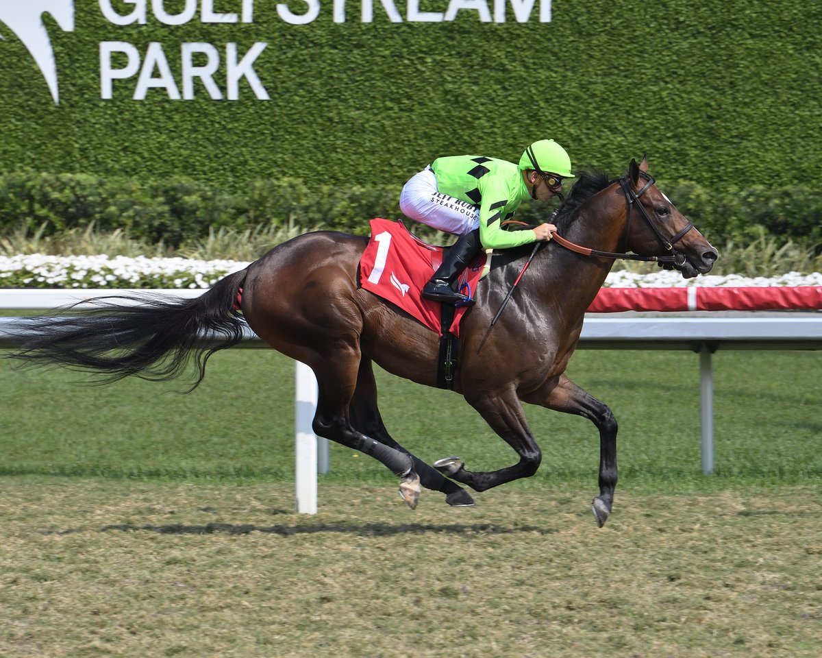 Gulfstream Park (@gulfstreampark) on Twitter photo Send Cash, with <a href="/Tyler_Gaff/">Tyler Gaffalione</a>, wires the field in race 5 for trainer <a href="/reredevaux/">Cherie DeVaux</a> and owner Klein Racing. #GulfstreamPark #ChampionshipMeet Send Cash, with <a href="/Tyler_Gaff/">Tyler Gaffalione</a>, wires the field in race 5 for trainer <a href="/reredevaux/">Cherie DeVaux</a> and owner Klein Racing. #GulfstreamPark #ChampionshipMeet