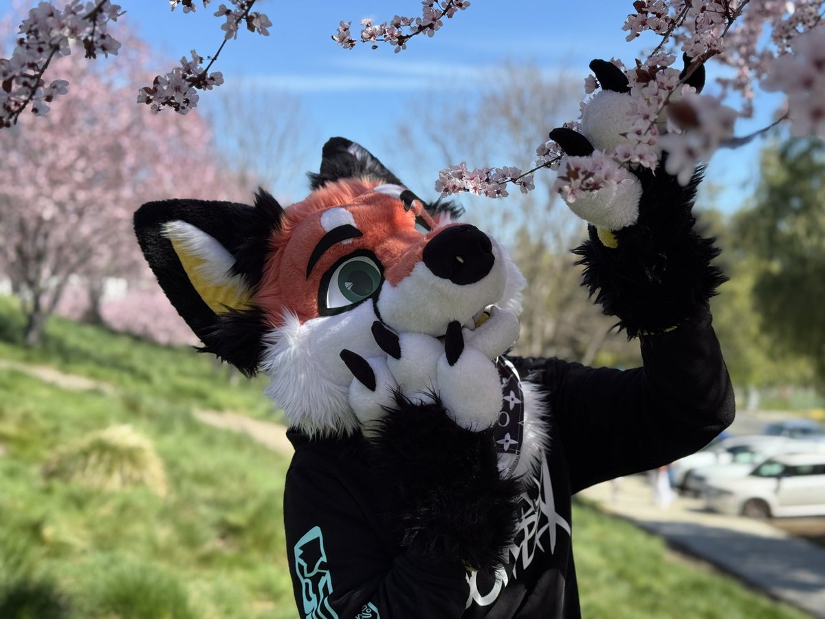 🌸🌸 
📸 someone random