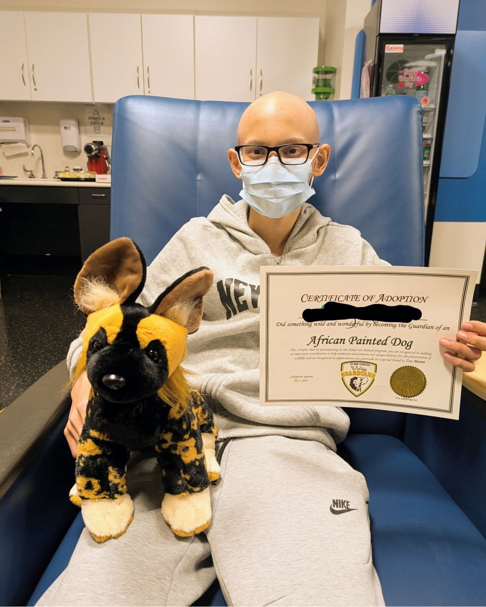 Even behind the mask, you can see the joy.  At Miami Cancer Institute, a special Adopt an Animal surprise brought comfort and smiles to this brave little fighter. ✨