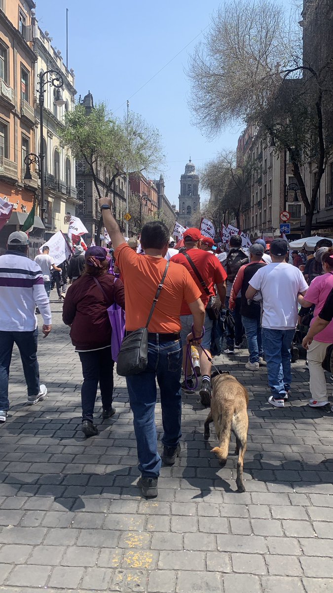 Julio César Sánchez tweet media